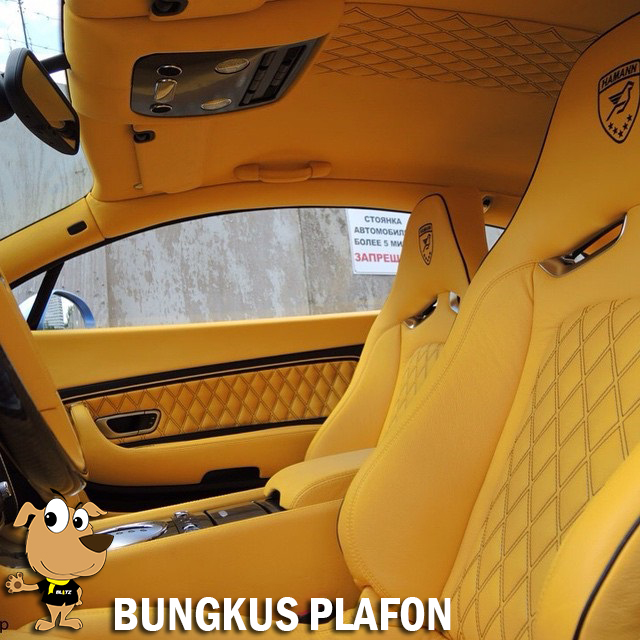 Bungkus plafon mobil custom Bungkus plafon mobil